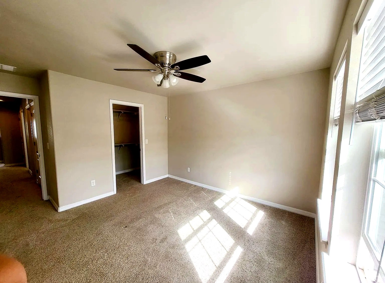 Primary bedroom with ceiling fan, large windows, and walk-in closet